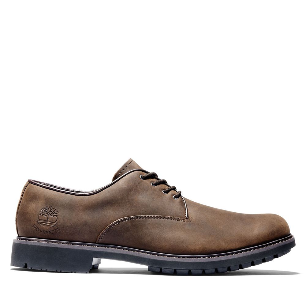 Zapatos Oxford Timberland Argentina Hombre - Stormbuck Waterproof - Marrones Oscuro - NLGITE-346